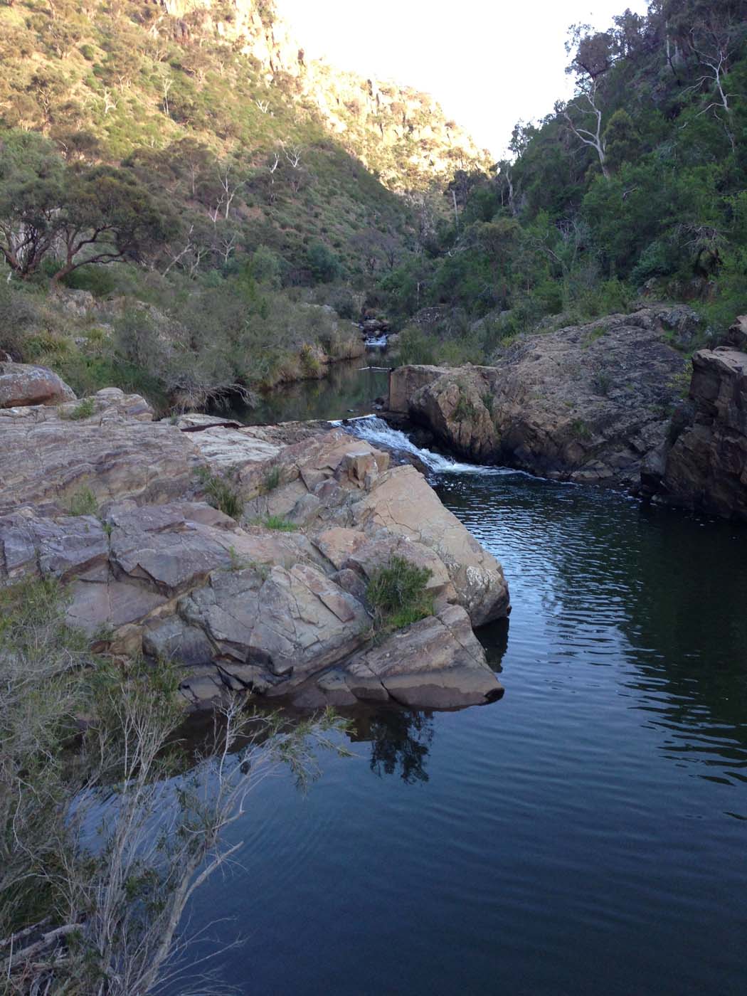 The bluff, pyramid rock & ironbark gorge hike (41)
