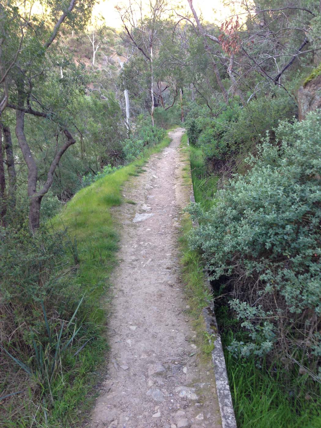 The bluff, pyramid rock & ironbark gorge hike (43)