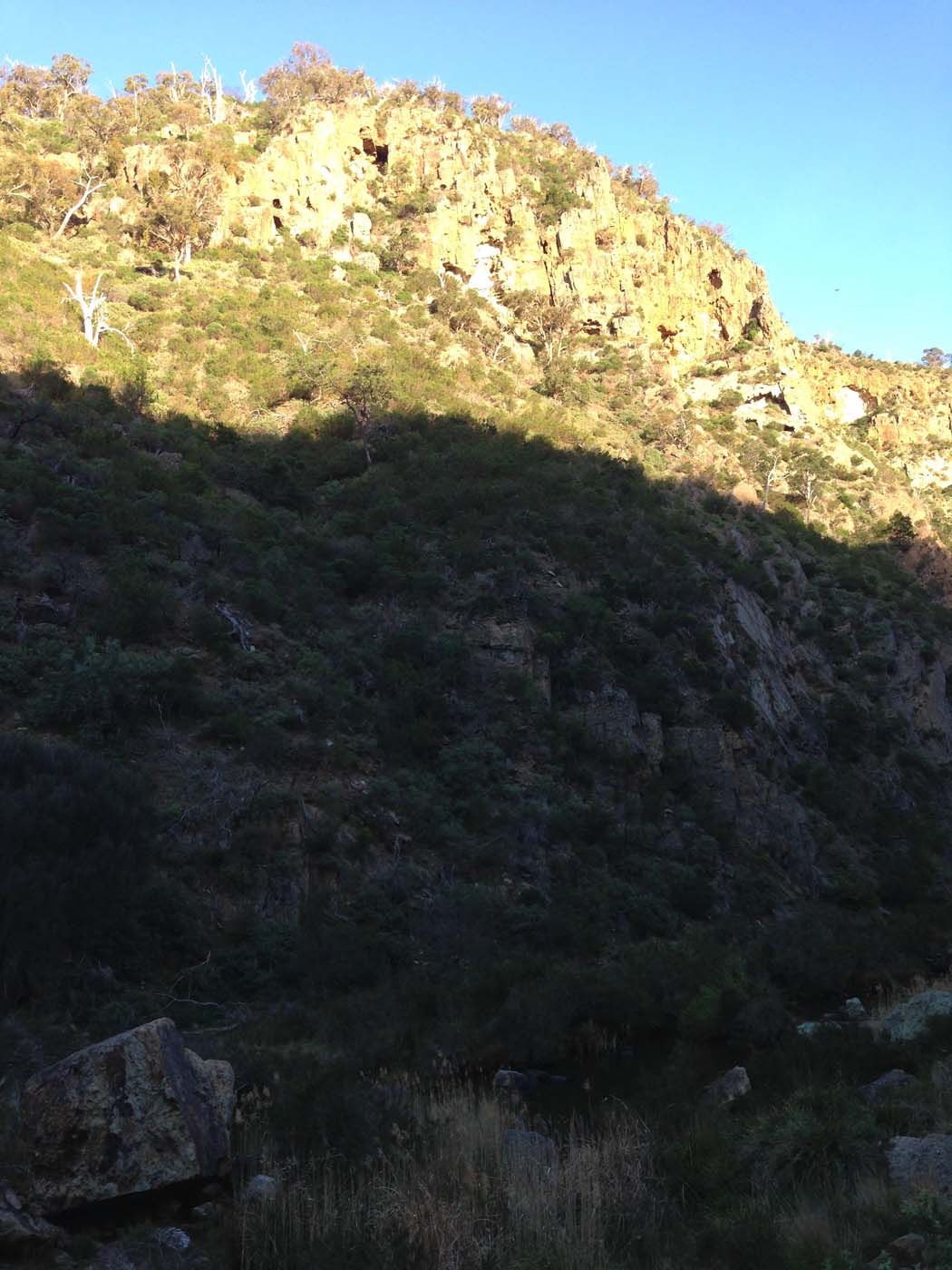 The bluff, pyramid rock & ironbark gorge hike (44)