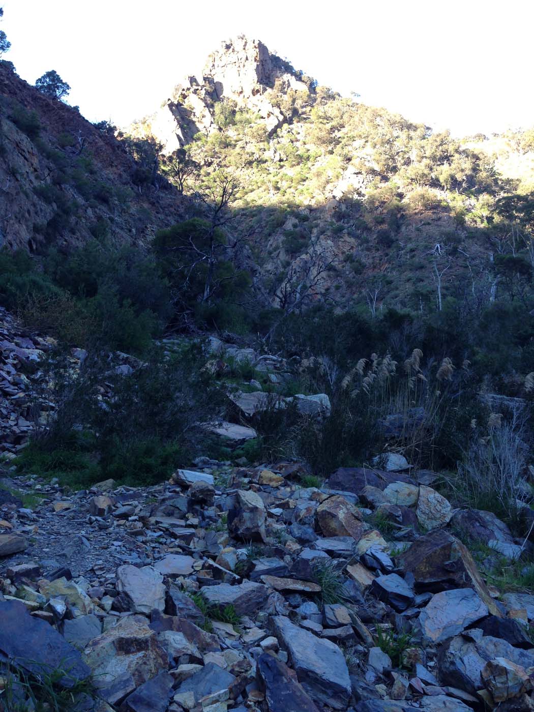 The bluff, pyramid rock & ironbark gorge hike (48)