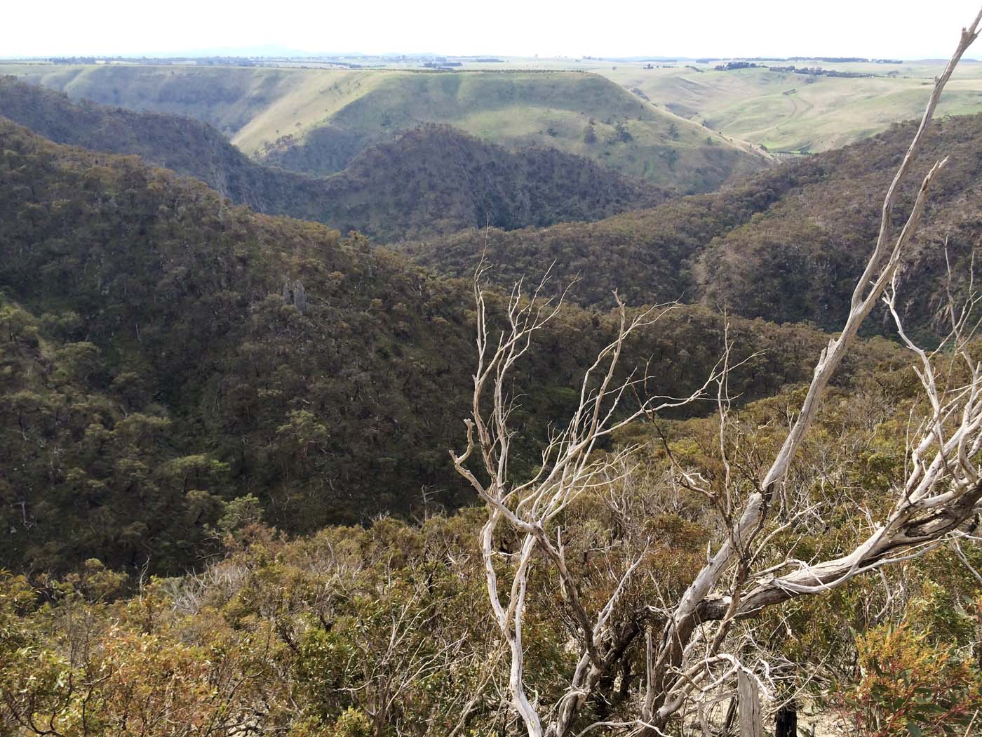 The bluff, pyramid rock & ironbark gorge hike (5)