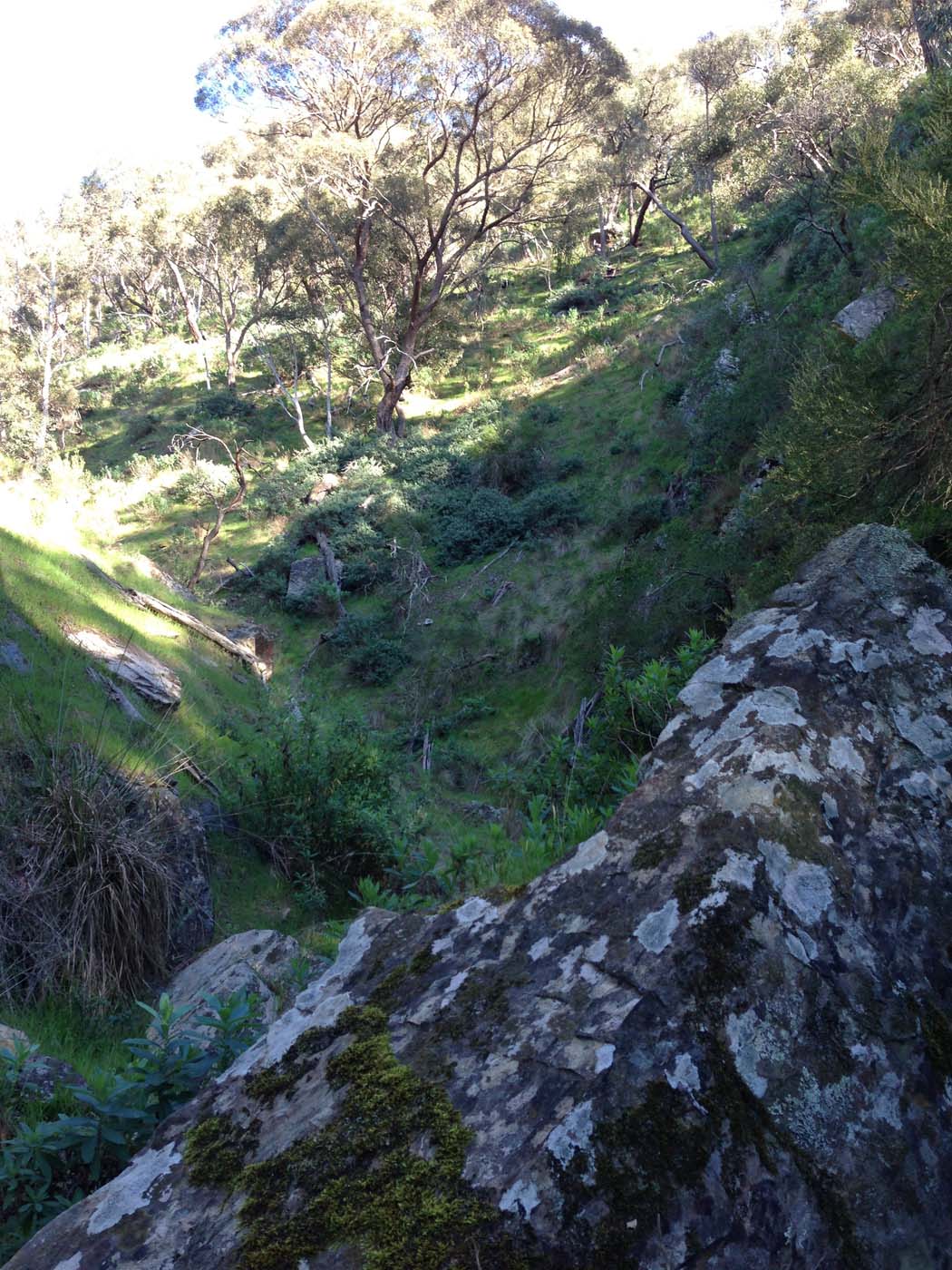 The bluff, pyramid rock & ironbark gorge hike (53)