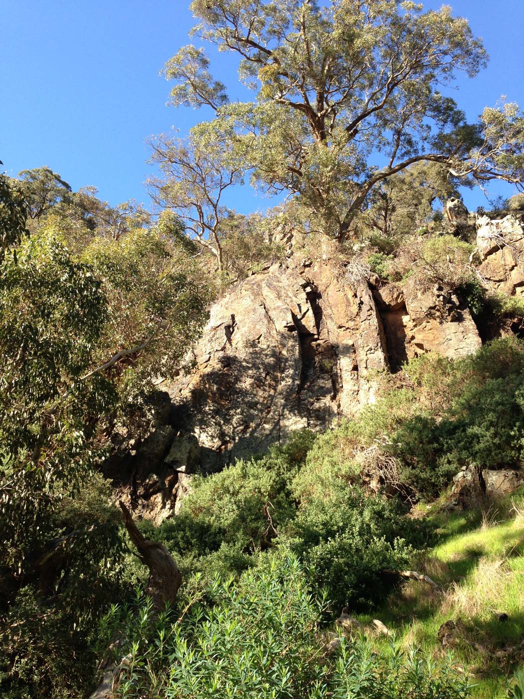 The bluff, pyramid rock & ironbark gorge hike (54)