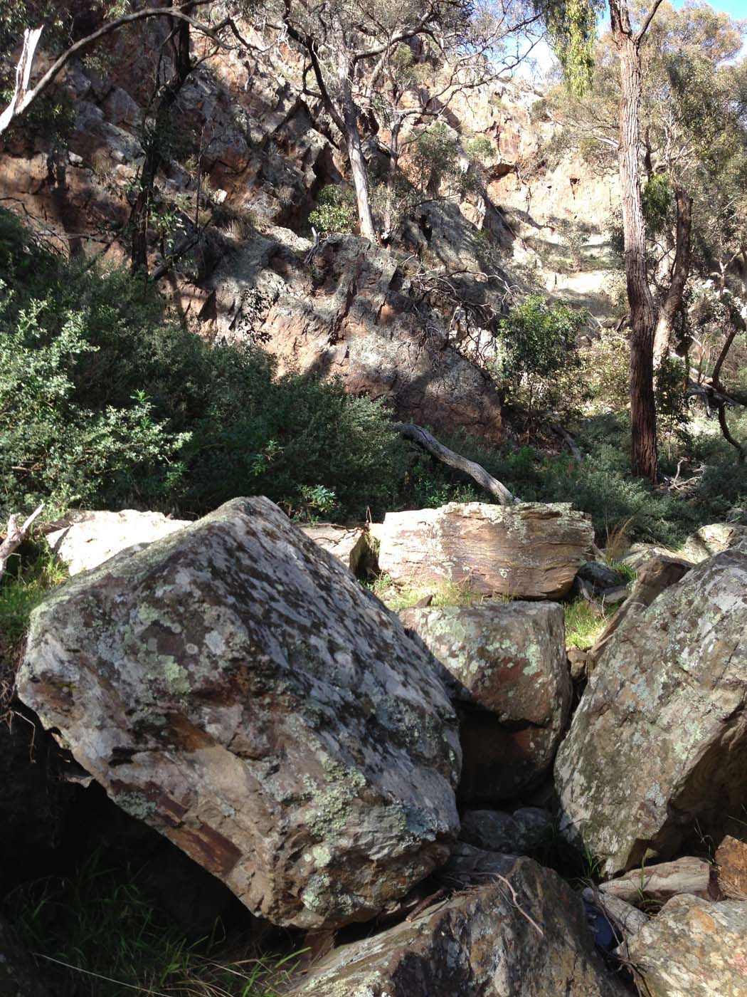 The bluff, pyramid rock & ironbark gorge hike (58)