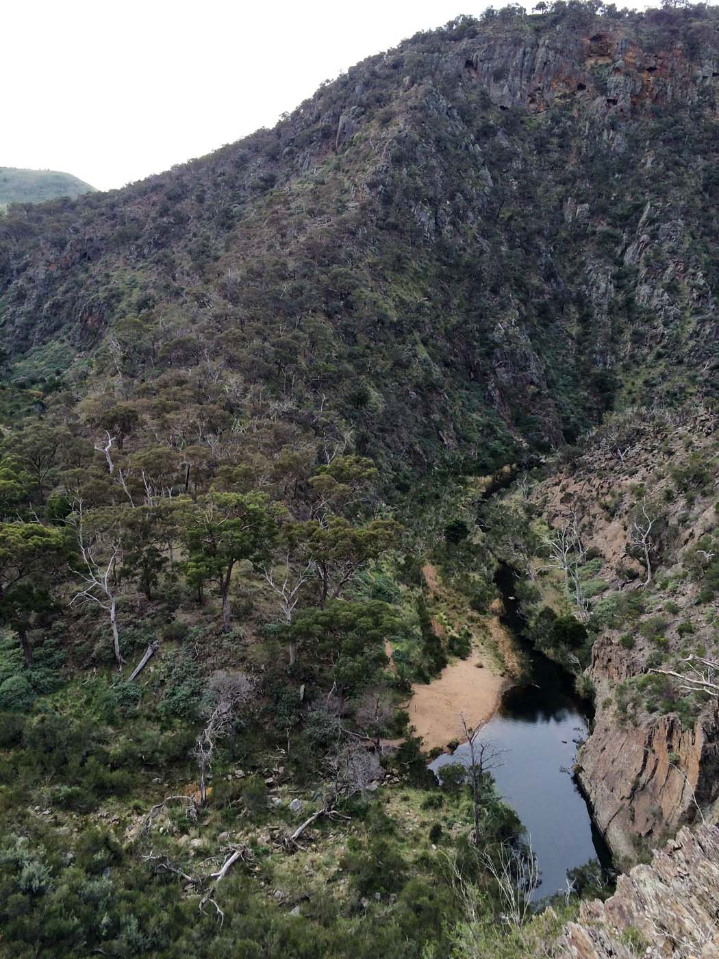 The bluff, pyramid rock & ironbark gorge hike (6)
