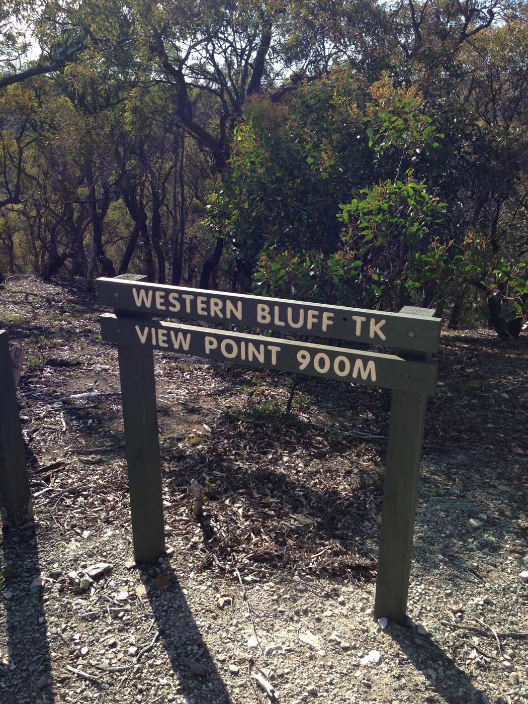 The bluff, pyramid rock & ironbark gorge hike (62)