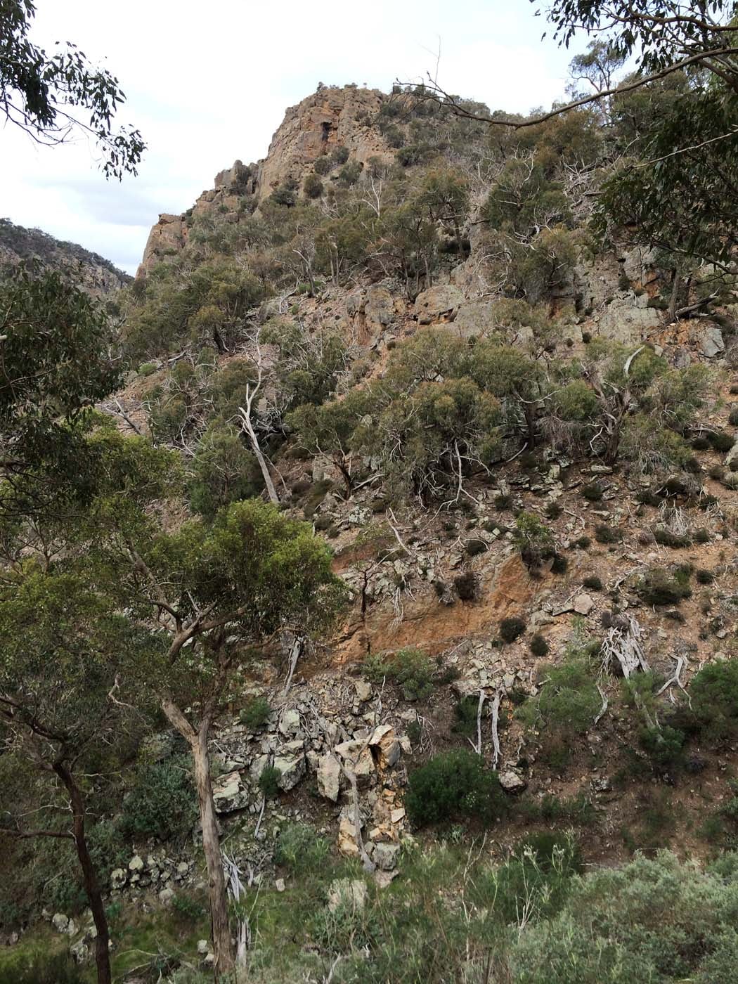 The bluff, pyramid rock & ironbark gorge hike (7)