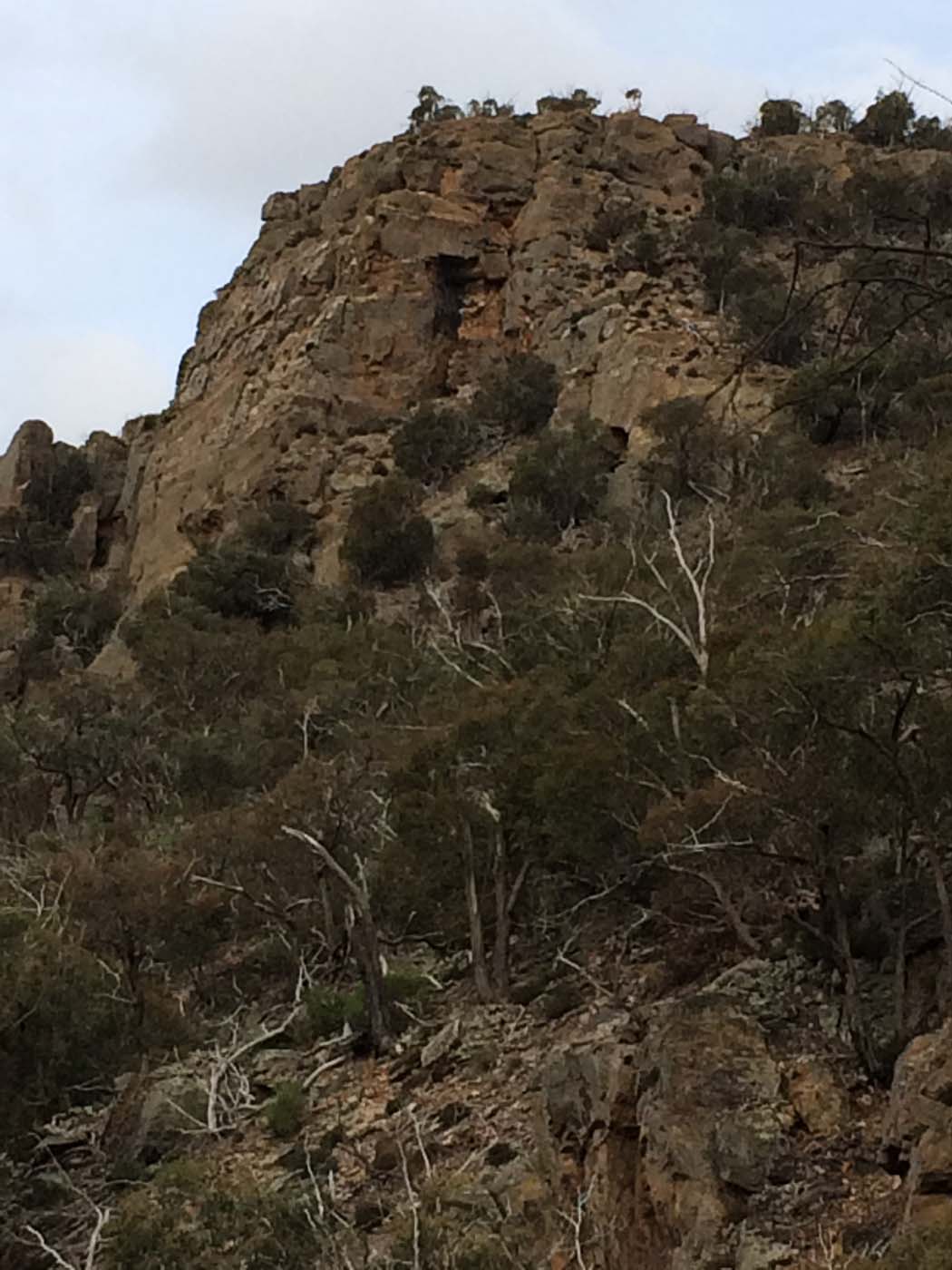 The bluff, pyramid rock & ironbark gorge hike (8)