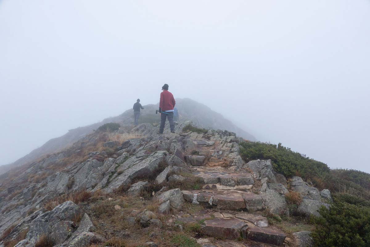 Buller huts trail 1