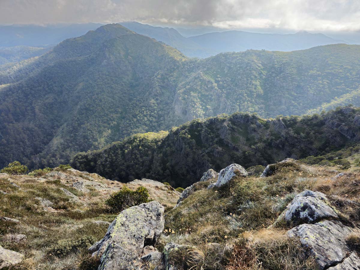 Buller huts trail 15