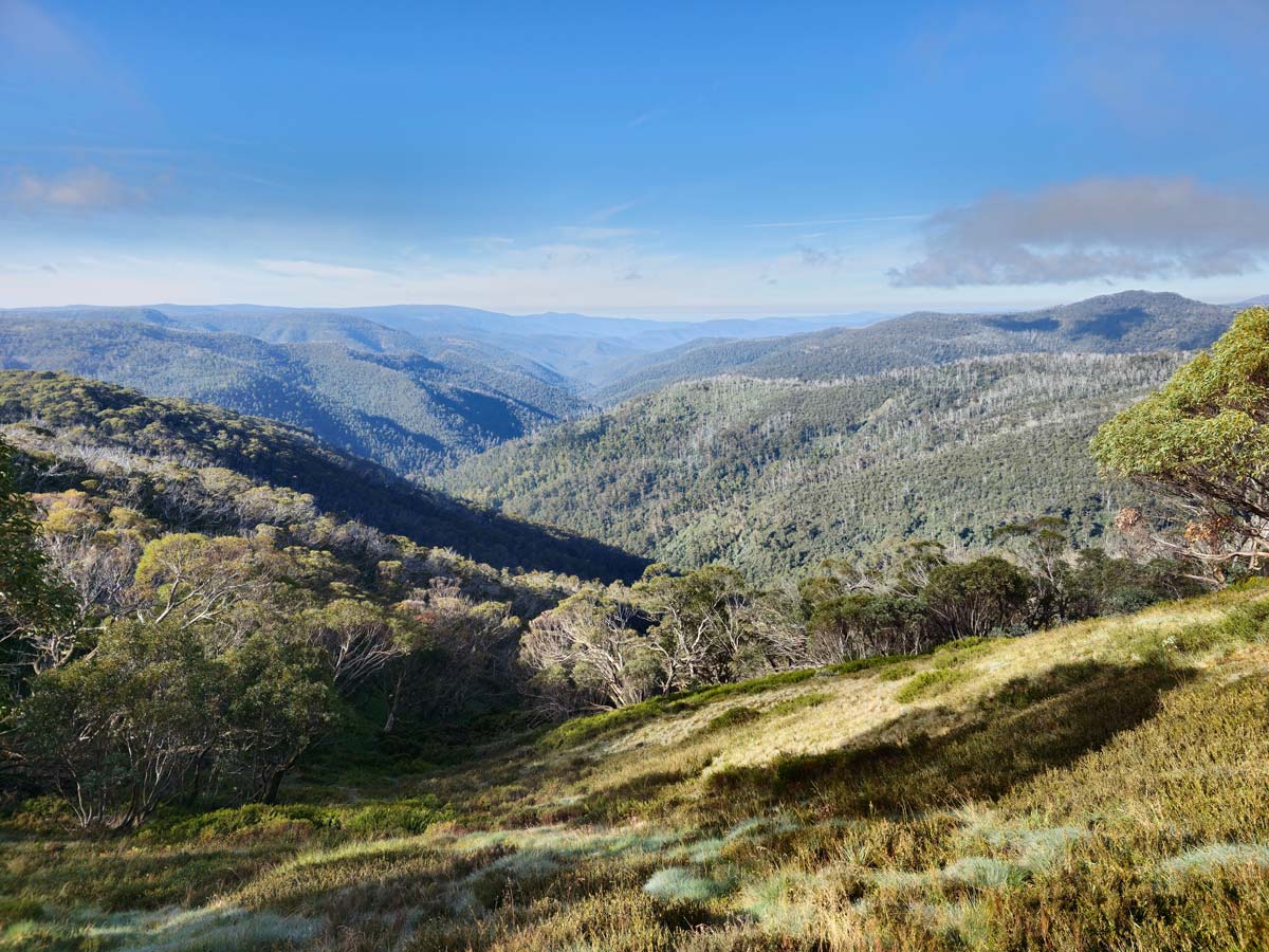 Buller huts trail 16