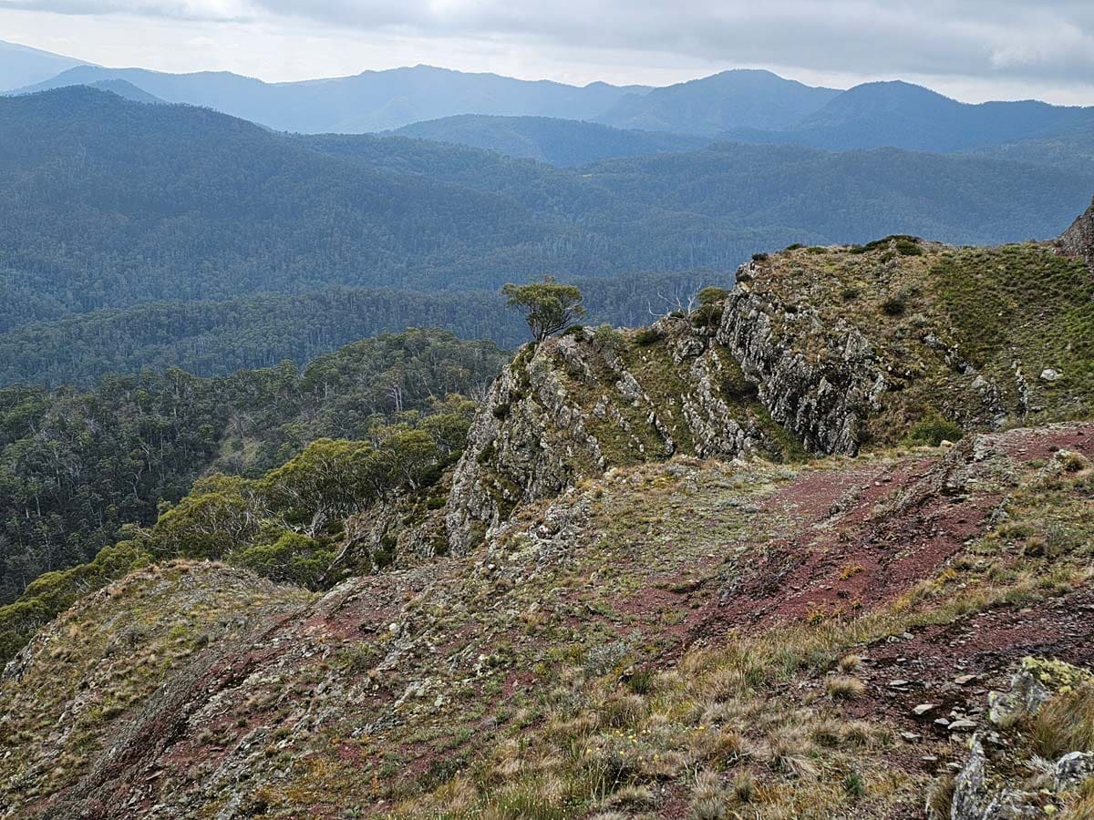 Buller huts trail 18
