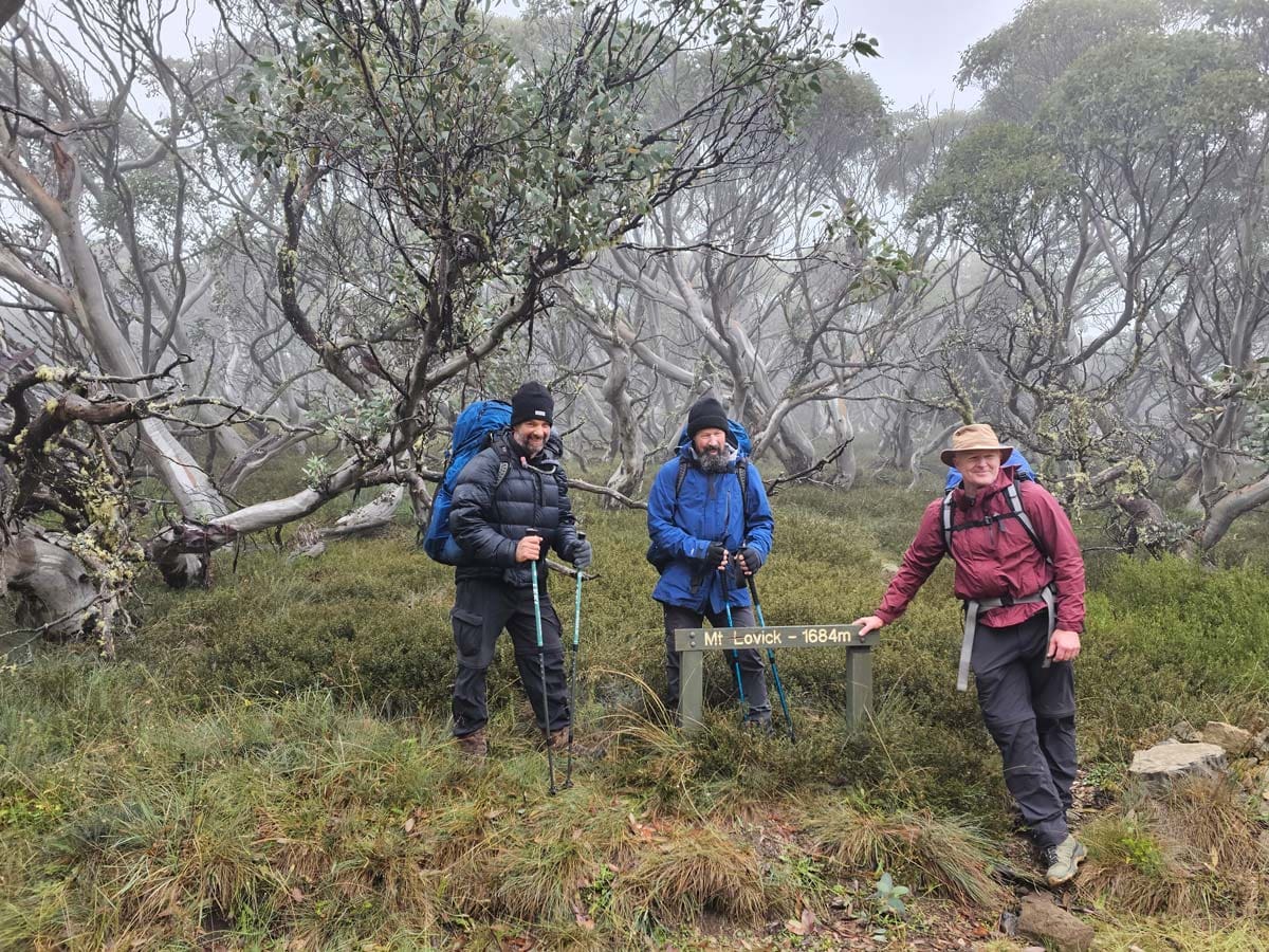 Buller huts trail 19
