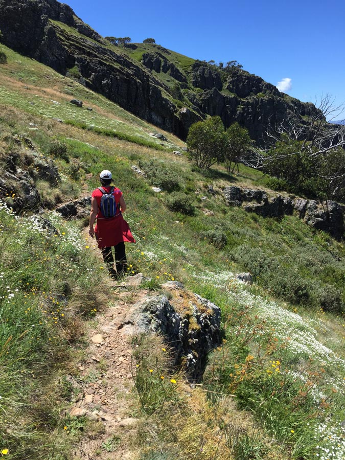 Buller huts trail victoria 10