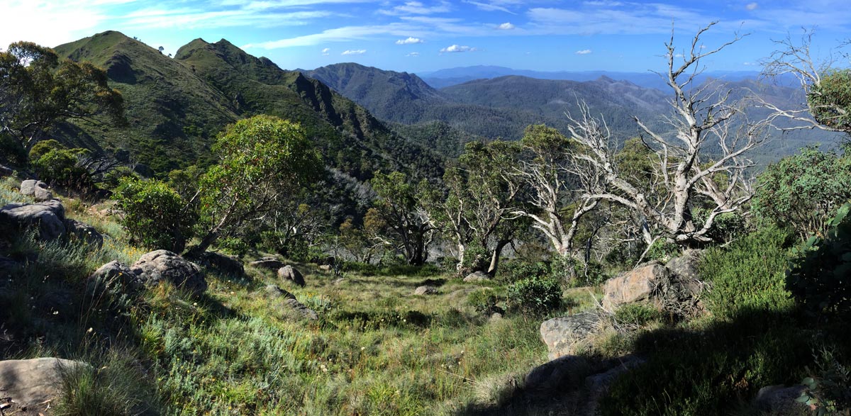 Buller huts trail victoria 14