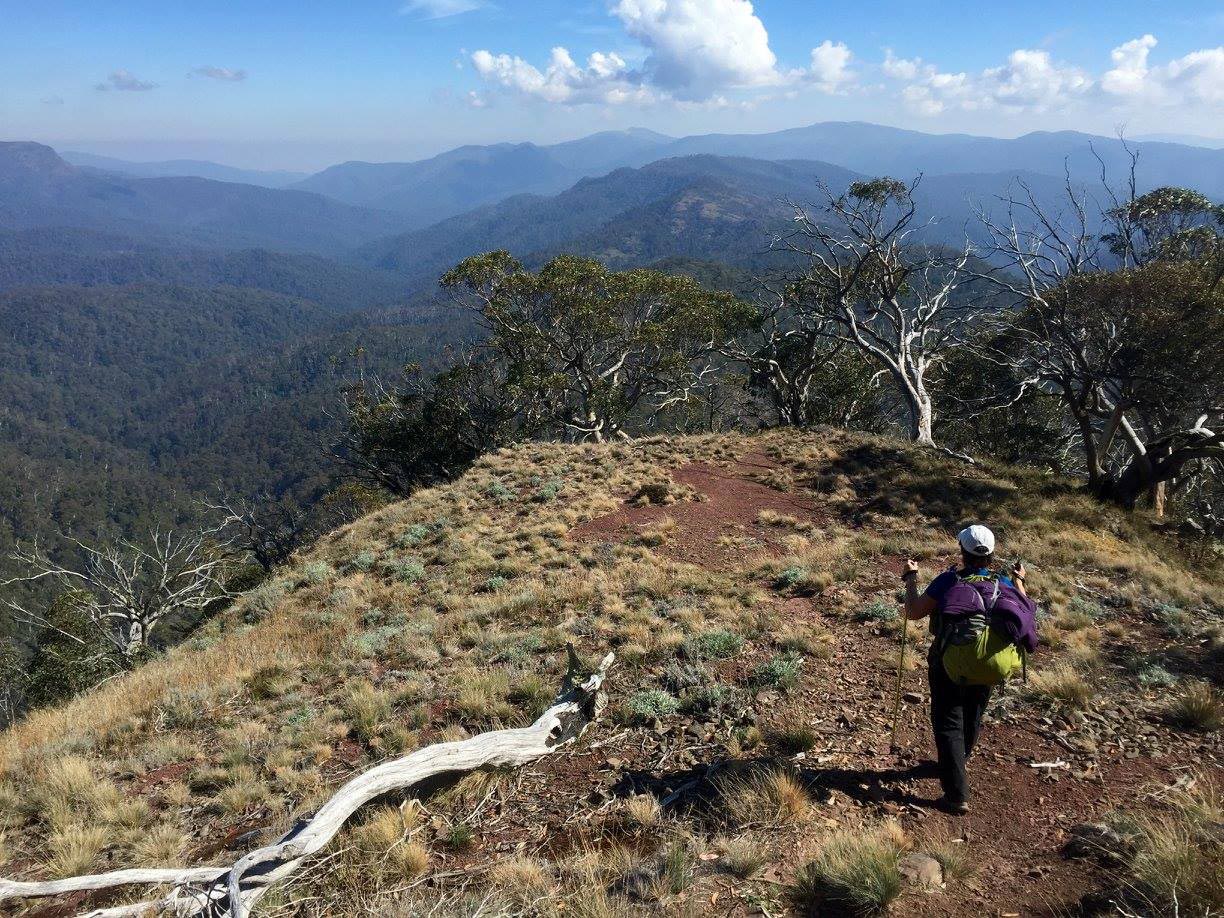 Buller huts trail victoria 18