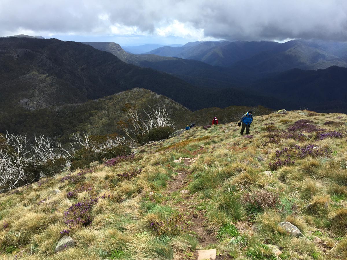 Buller huts trail victoria 21
