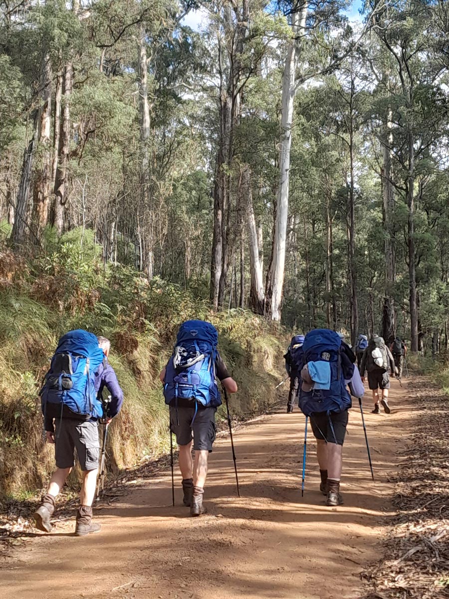 Buller huts trail victoria 27