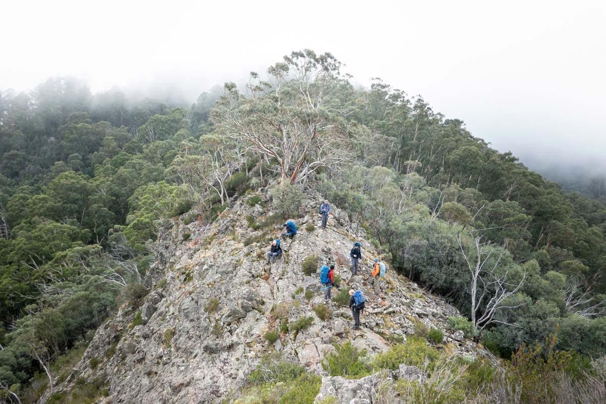Buller huts trail victoria 30