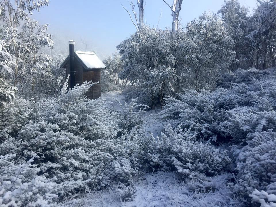 The buller huts trail 5