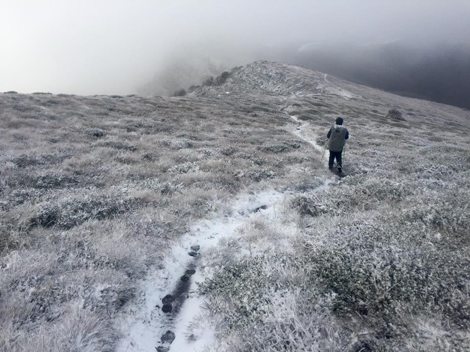 The buller huts trail 6