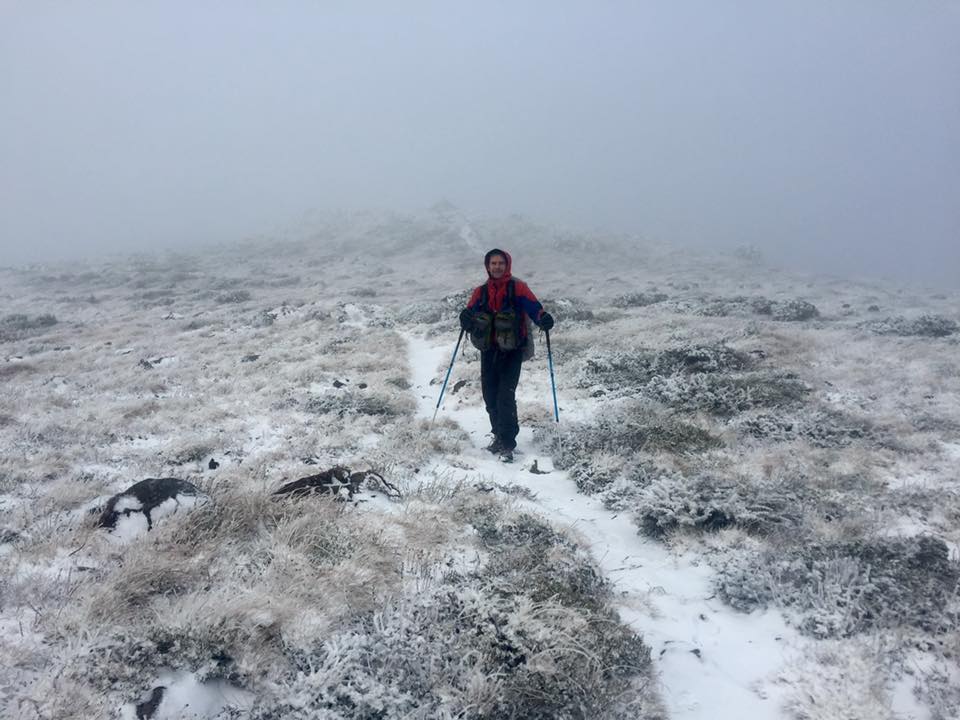 The buller huts trail 7