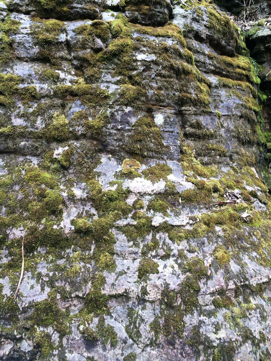 The chimney pots walk 32