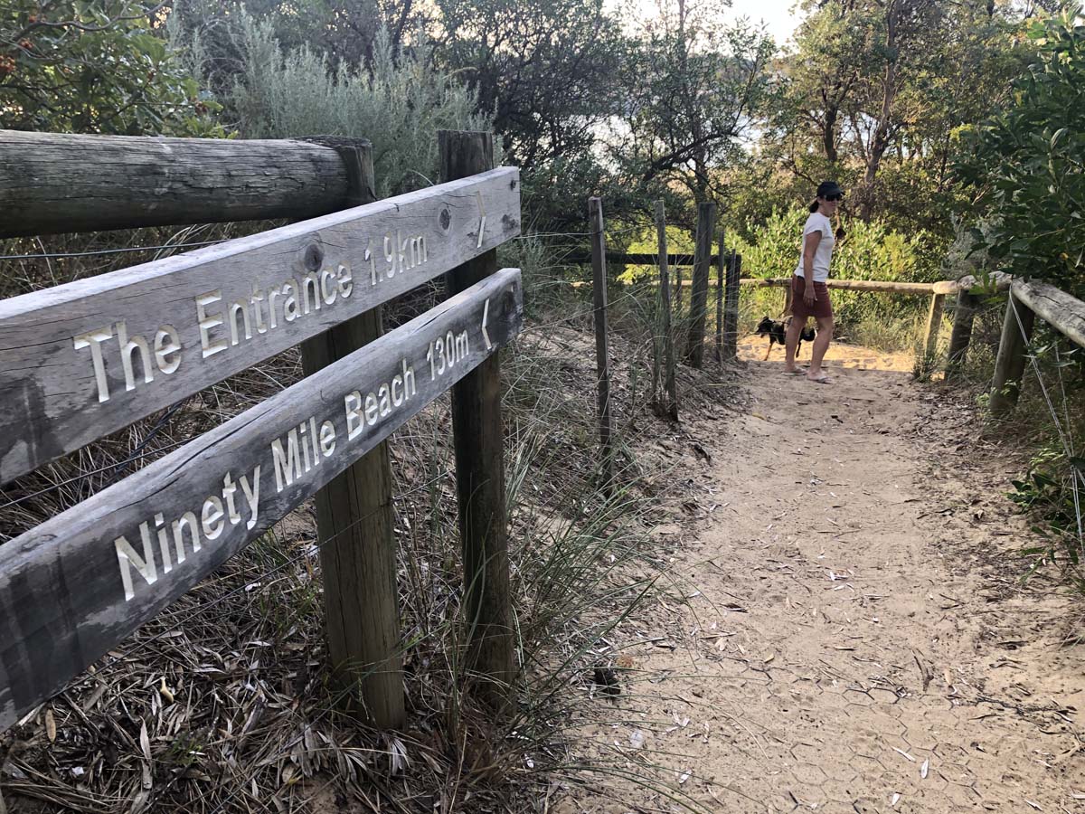 The entrance walk 4