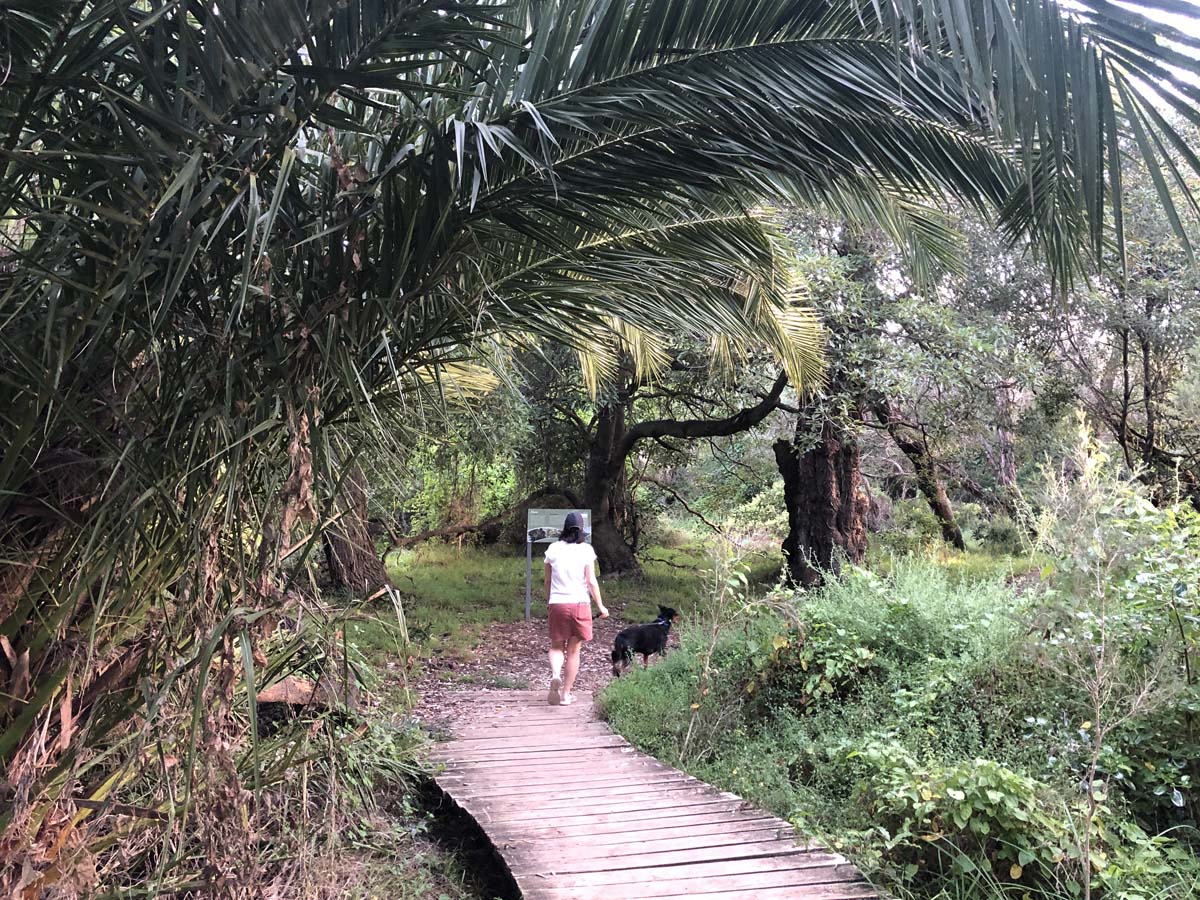 The entrance walk 8
