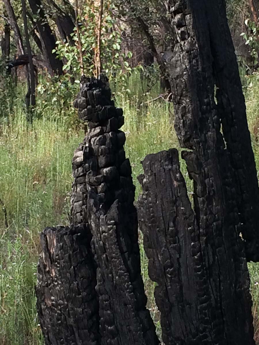 The fortress hike 147