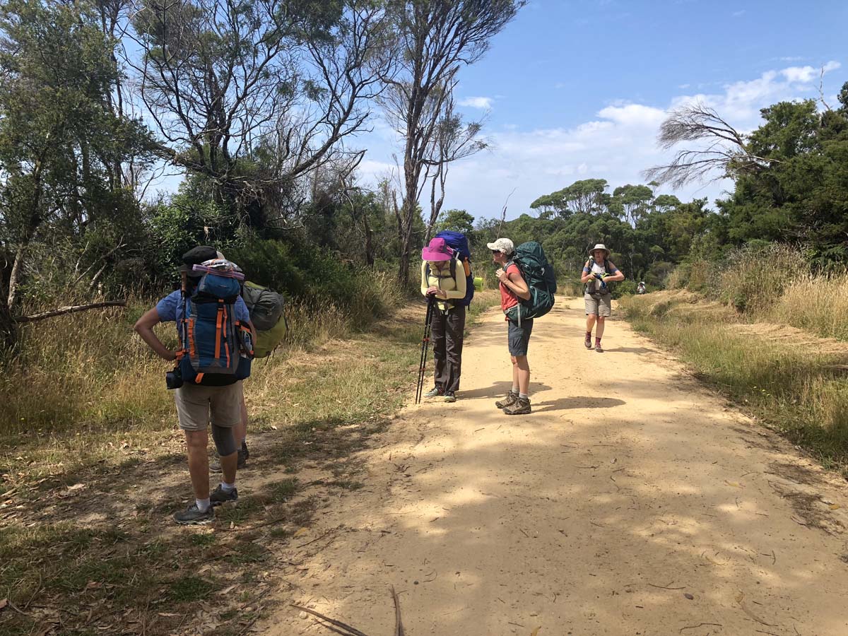 The great ocean walk 13