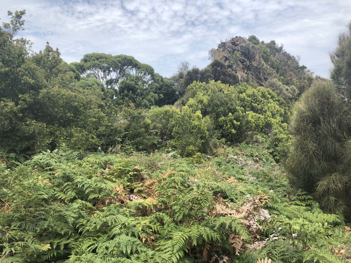 The great ocean walk 35