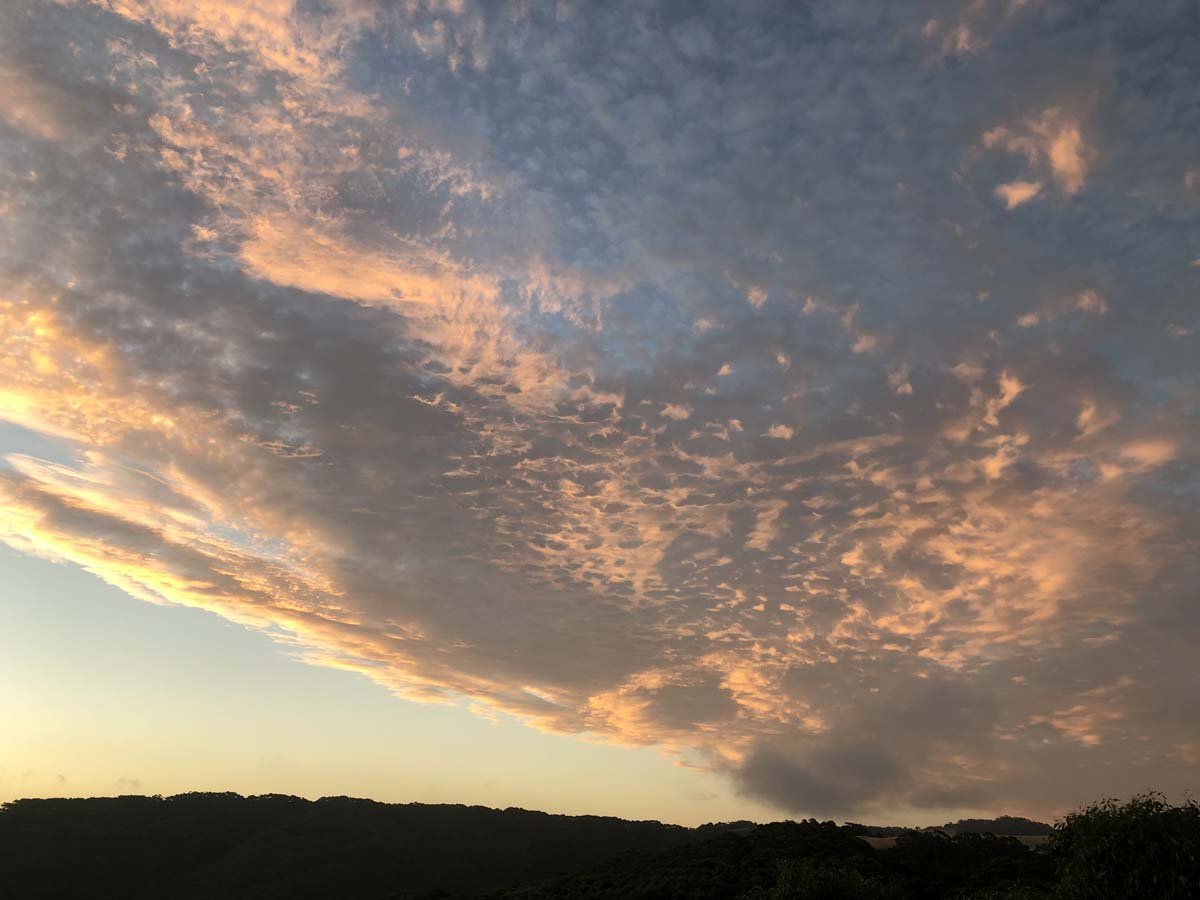 The great ocean walk 48