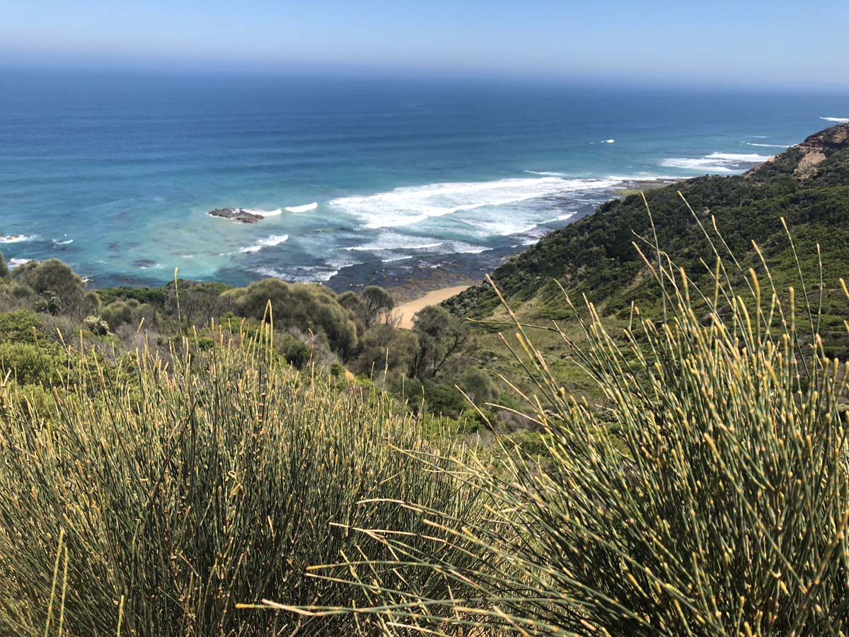 The great ocean walk 72