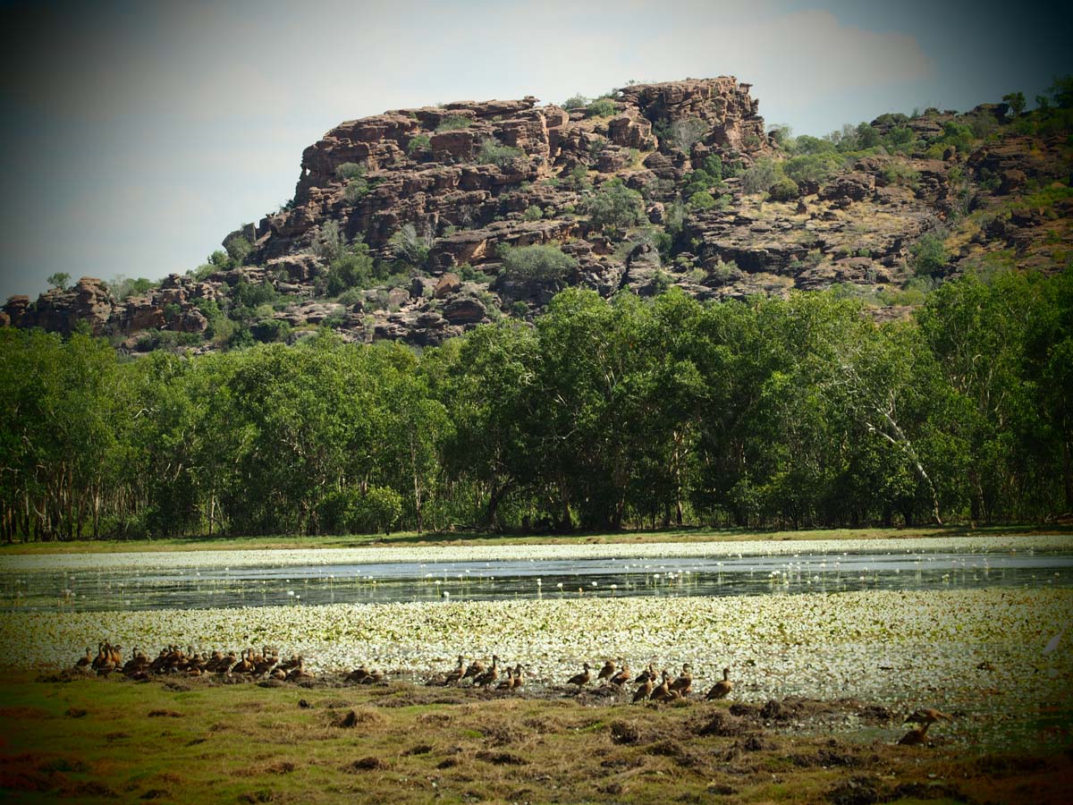 The jatbula trail trek 349