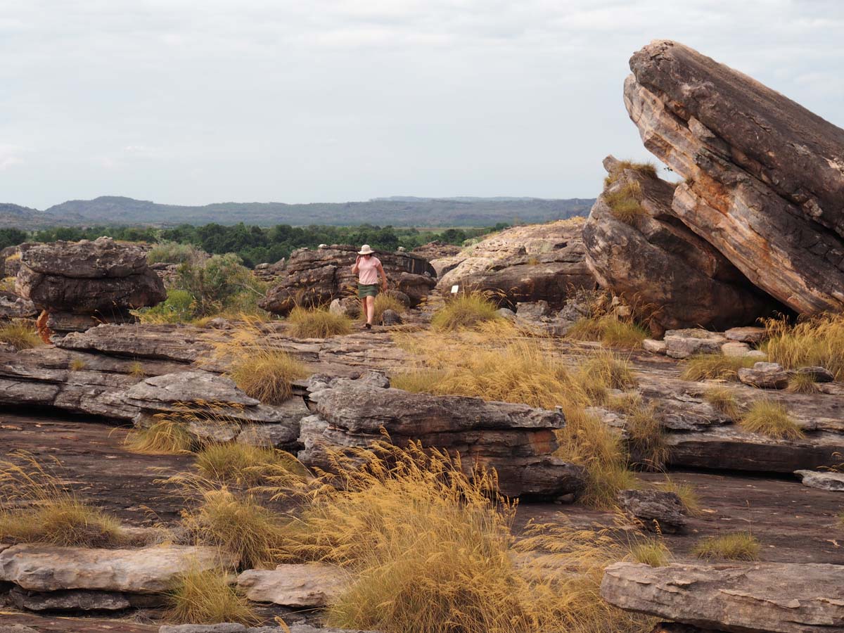 The jatbula trail trek 382