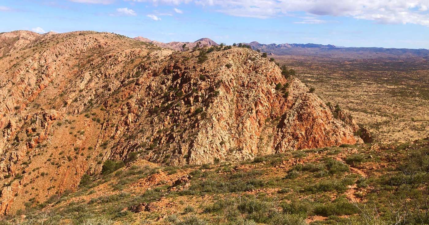 Brinkley bluff
