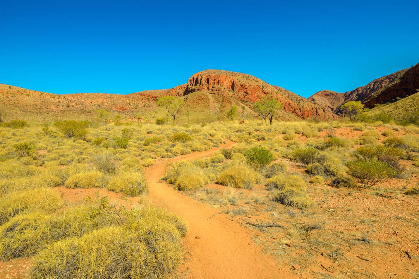 Larapinta trail nt (3)