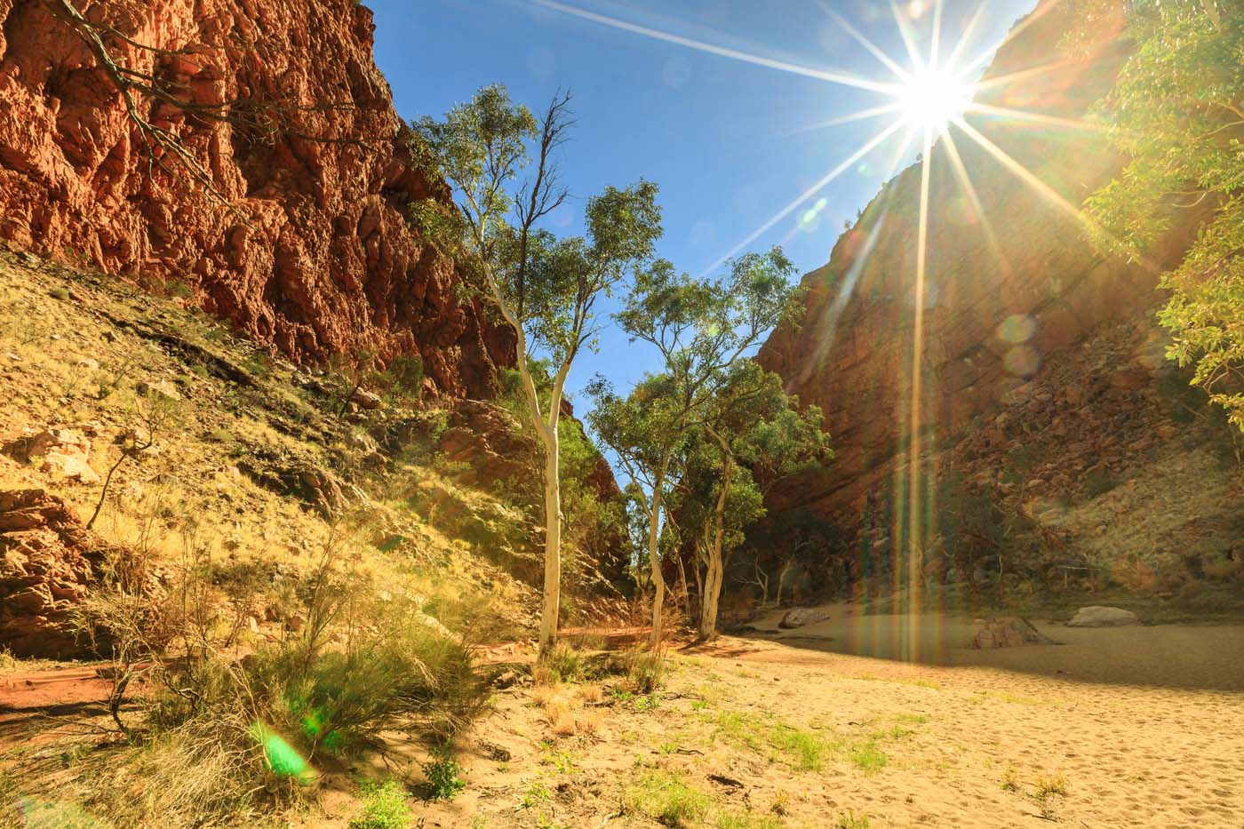 Larapinta trail nt (5)