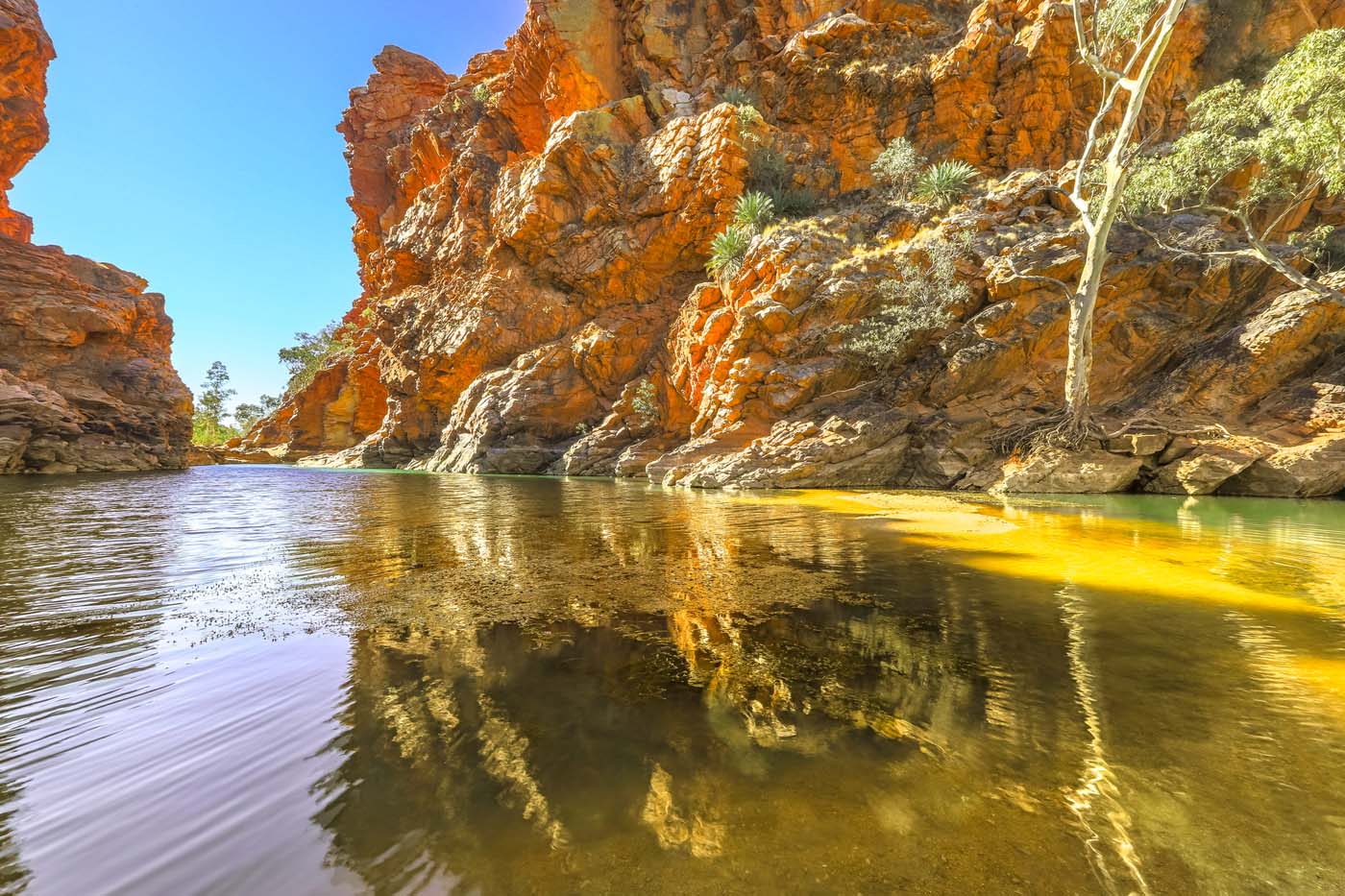 Larapinta trail nt (6)