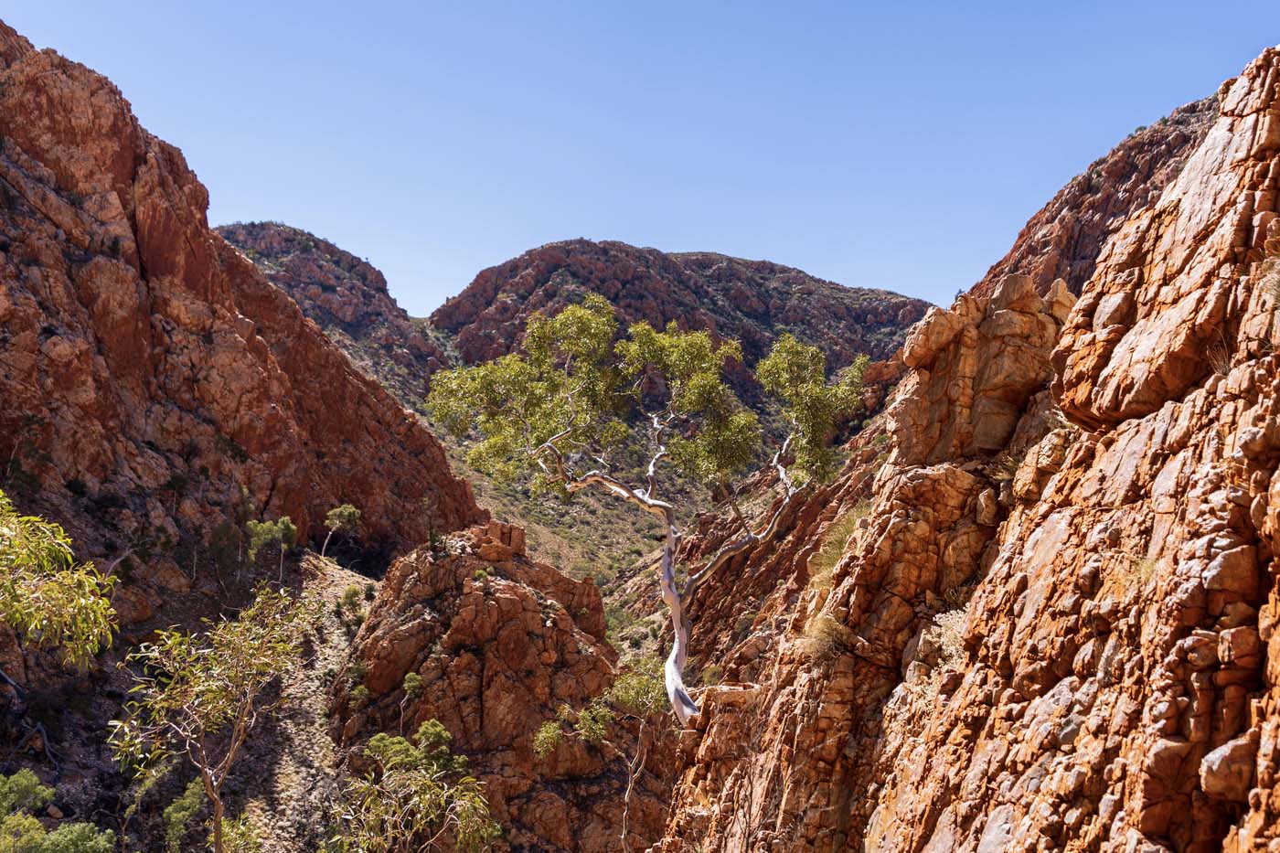 Larapinta trail nt (7)