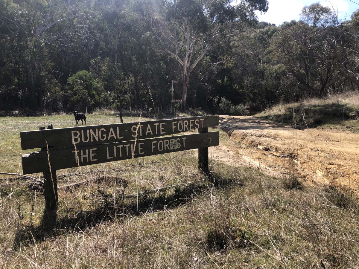 The little forest circuit hike 1
