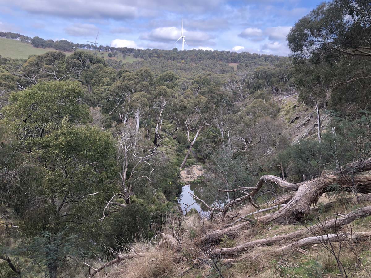 The little forest circuit hike 10