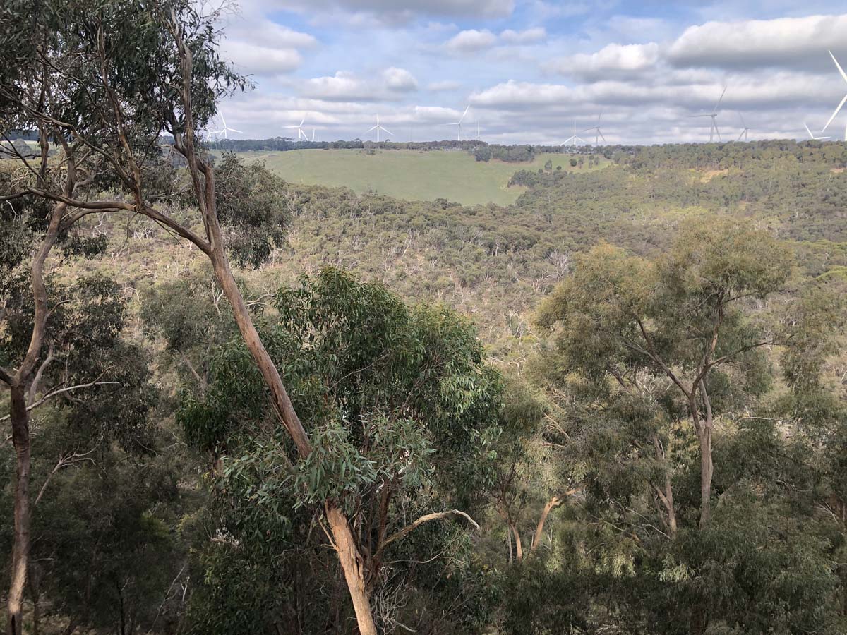 The little forest circuit hike 16