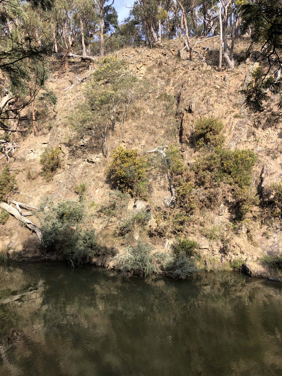 The little forest circuit hike 17