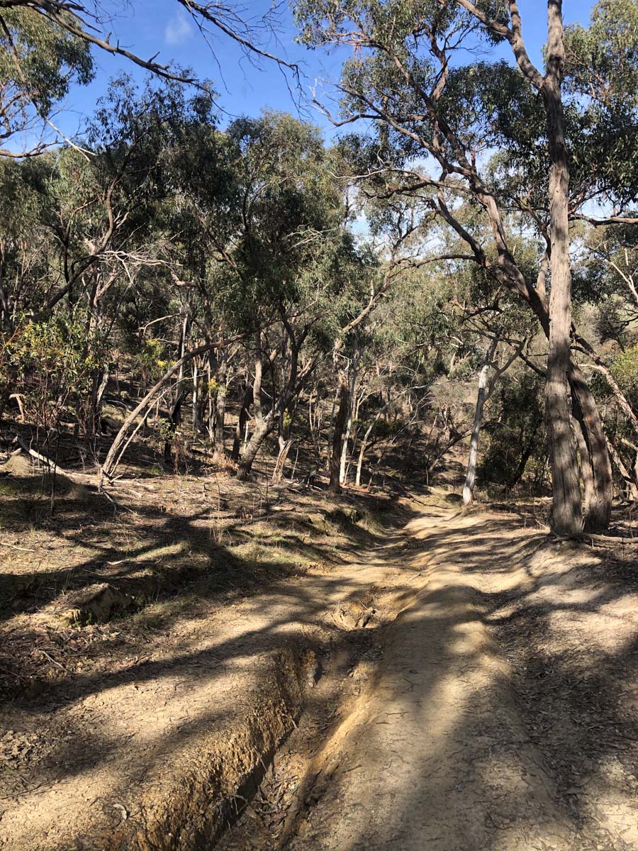 The little forest circuit hike 2