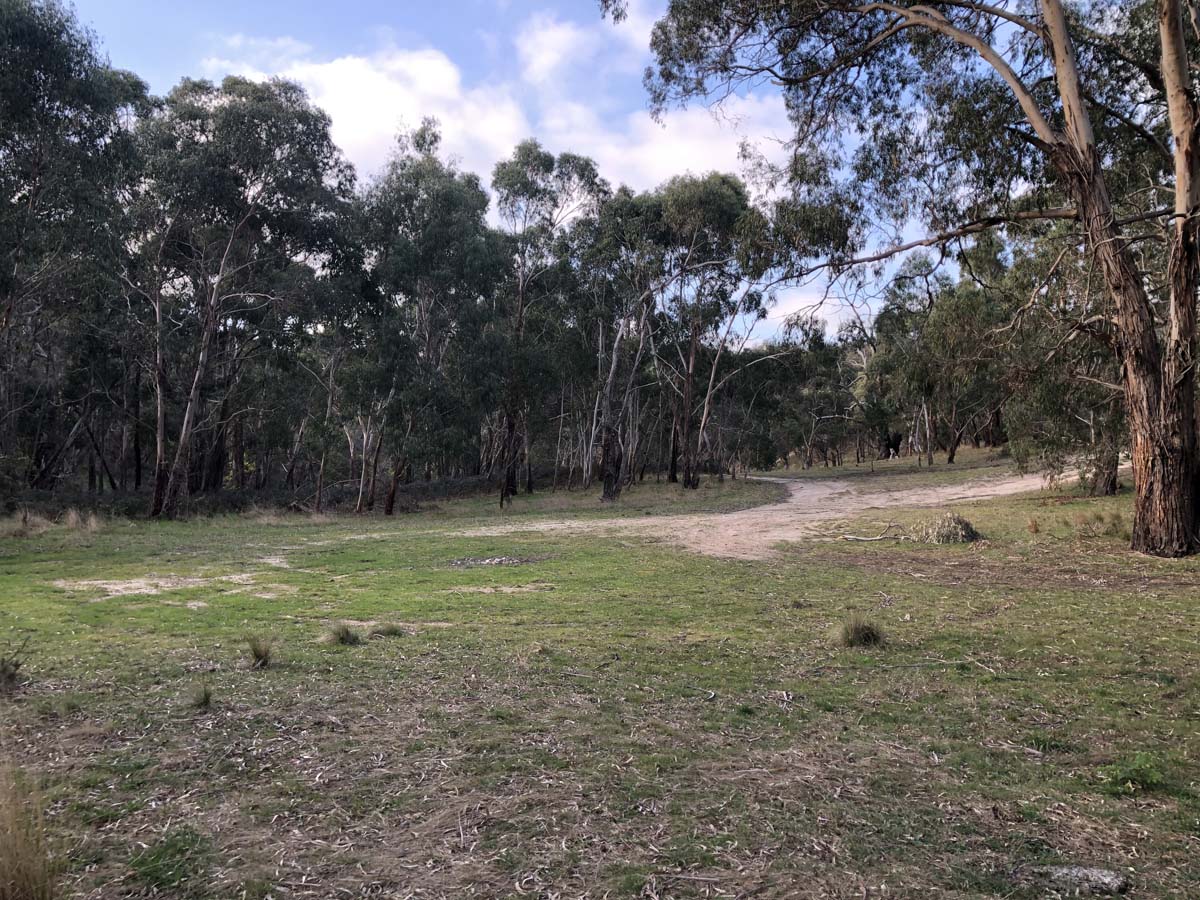 The little forest circuit hike 23