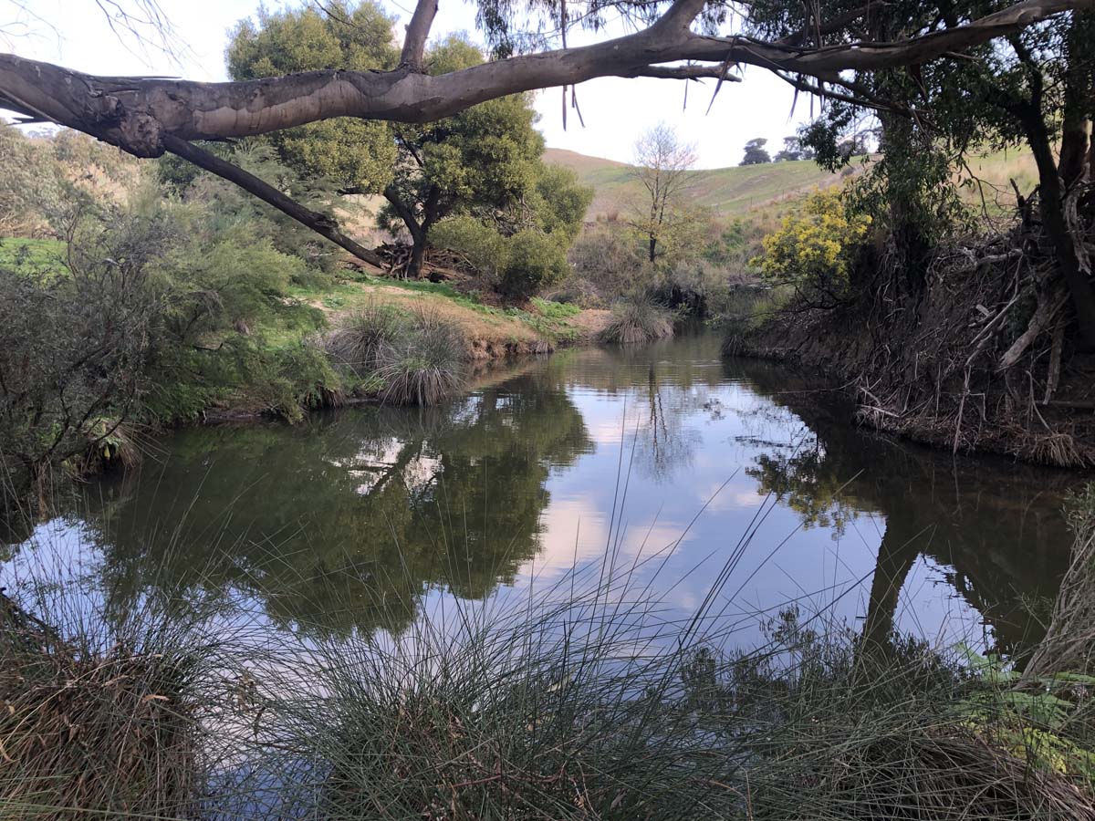The little forest circuit hike 24