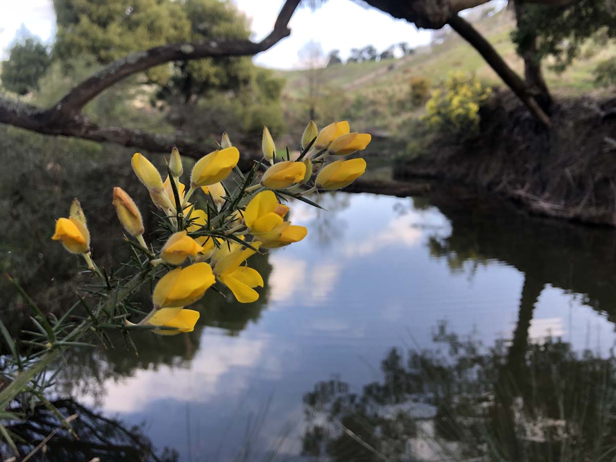 The little forest circuit hike 25