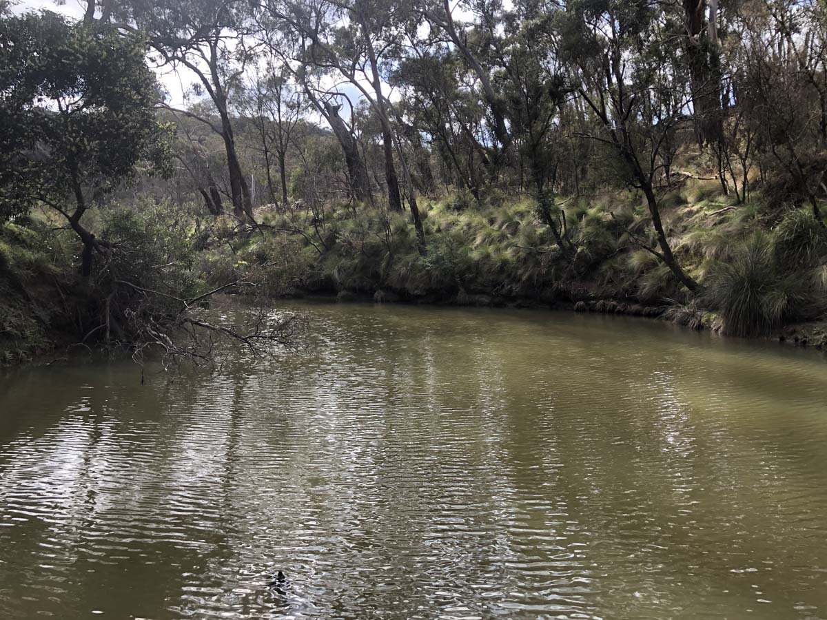 The little forest circuit hike 6